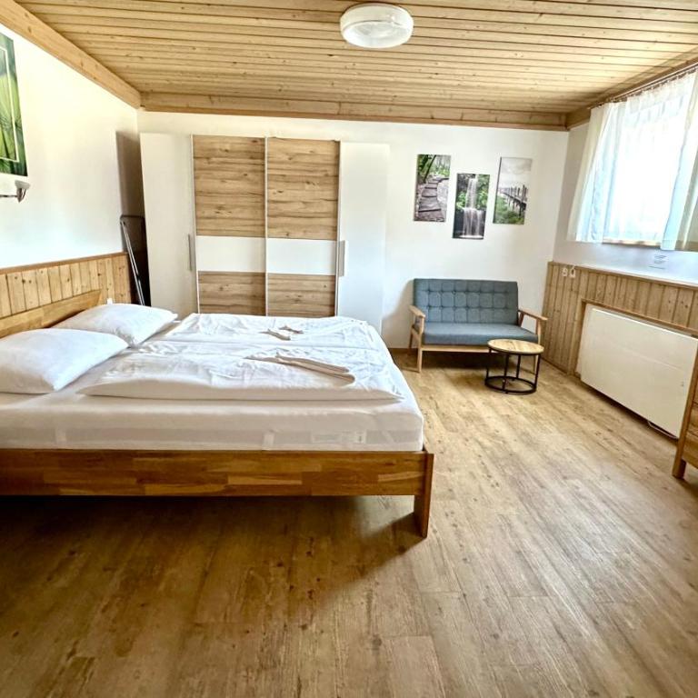 Living Apartments Saalbach incl Joker Card in Summer - Estudio con vistas a las montañas - 6