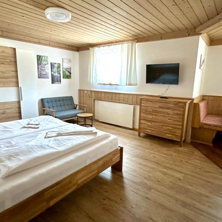 Living Apartments Saalbach incl Joker Card in Summer - Estudio con vistas a las montañas - 5