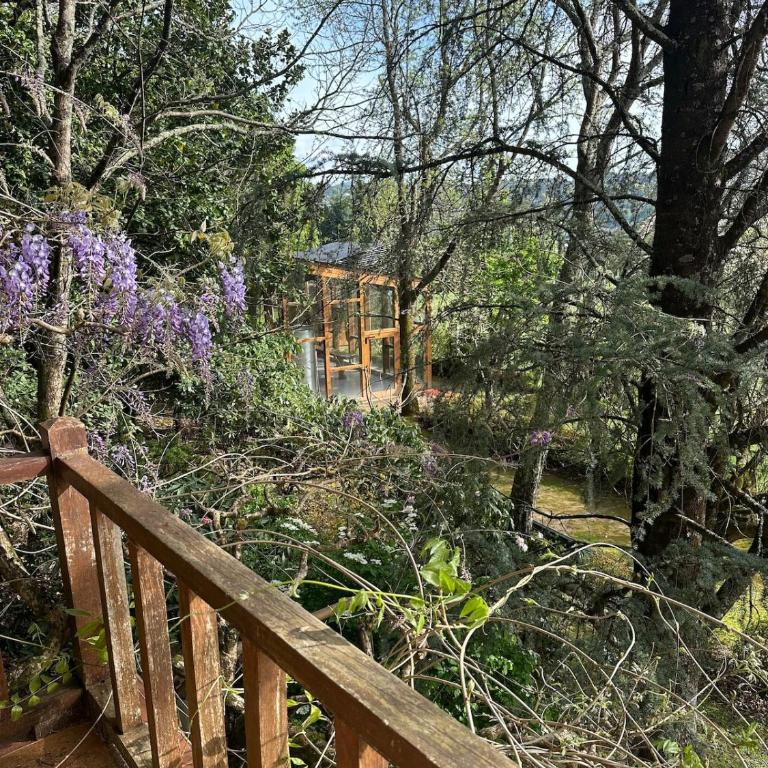 Casa Pepe Albela - 20 min de Santiago - Casa de 5 dormitorios - 15