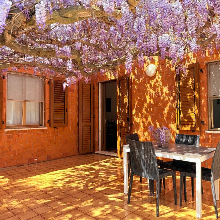 Il Glicine - Appartamenti a 4 chilometri dal mare di Orosei - Casa con 2 Camere da Letto - 20