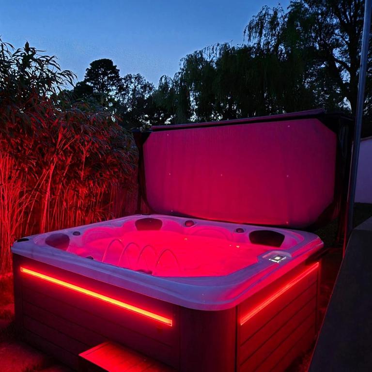 Villa de charme SPA - Piscine - Etang - Villa - 17