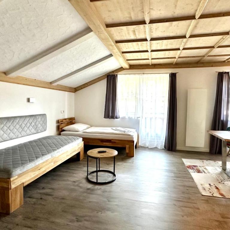 Living Apartments Saalbach incl Joker Card in Summer - Apartamento de 1 dormitorio con balcón y vistas a la montaña - 2
