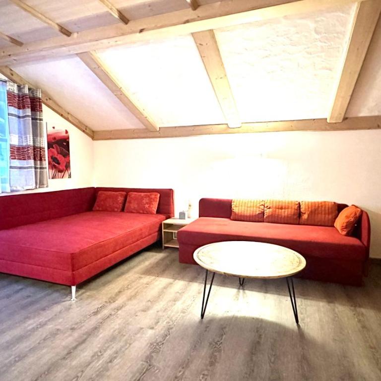 Living Apartments Saalbach incl Joker Card in Summer - Apartamento de 1 dormitorio con balcón y vistas a la montaña - 12