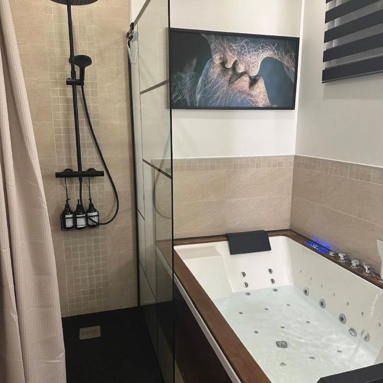 Luxury Love Room with Private Spa & Sauna Havre de Plaisir - Apartment mit 1 Schlafzimmer - 12