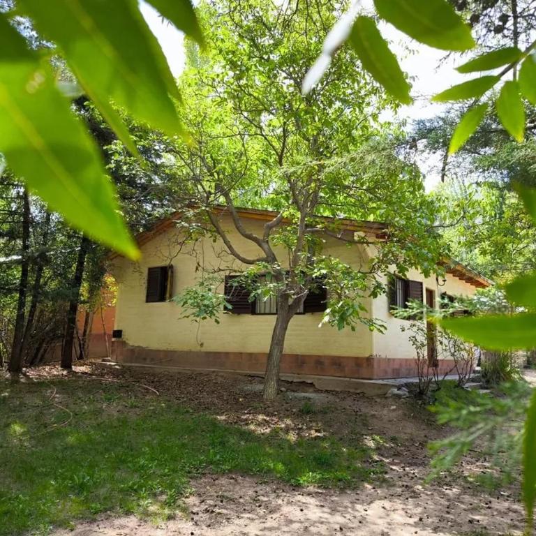 Hermosa Casa Las Carditas Potrerillos - Casa de 3 dormitorios - 12