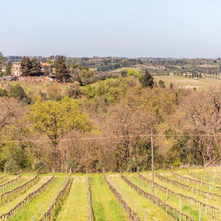 Country House Tenuta Fornacelle - Appartamento con 2 Camere da Letto - 23
