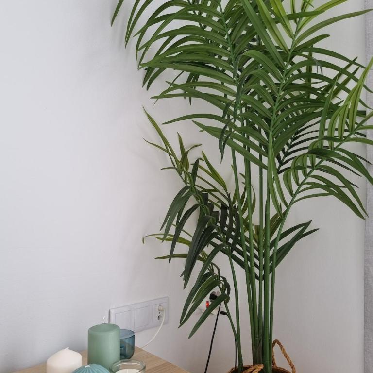 Ático con terraza y vistas al mar - Apartamento Ático - 35