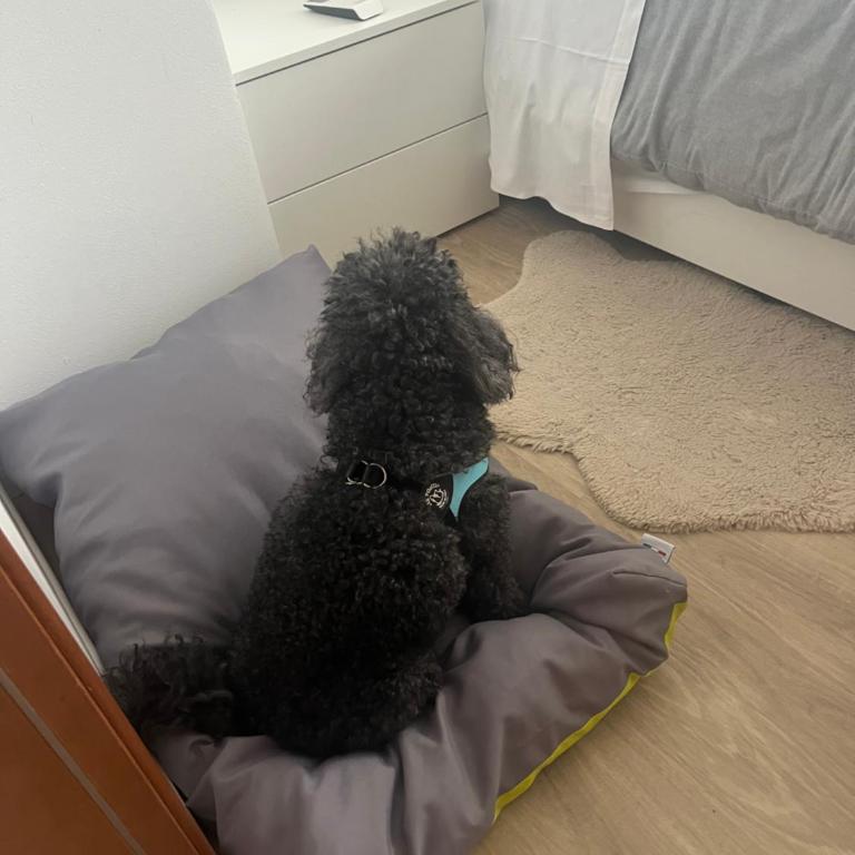 Sirmionerooms Luxury Apartment - Appartamento con 1 Camera da Letto - 35