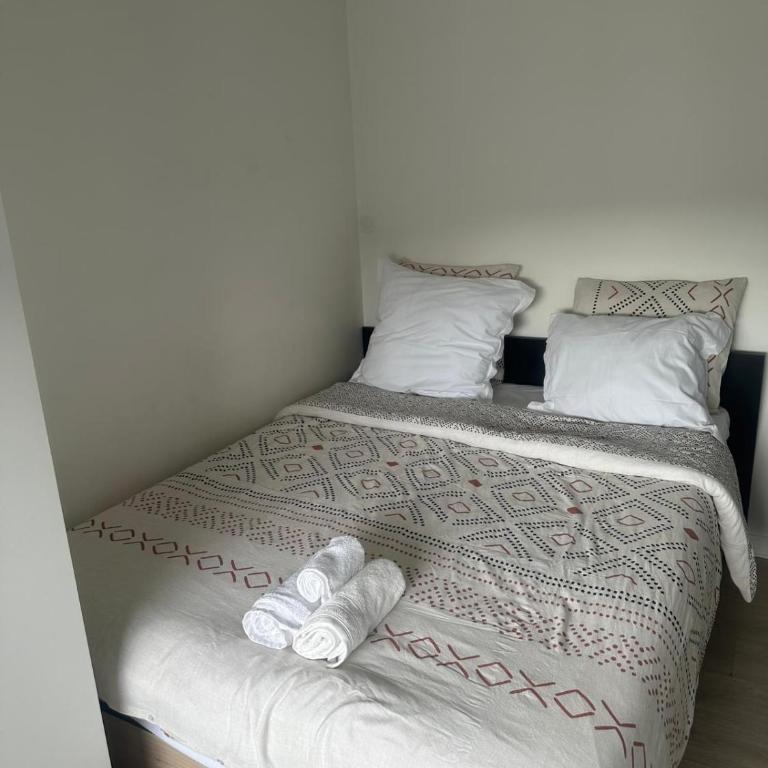 Appart de 5 chambres sur Nancy - Appartement 5 Chambres - 8