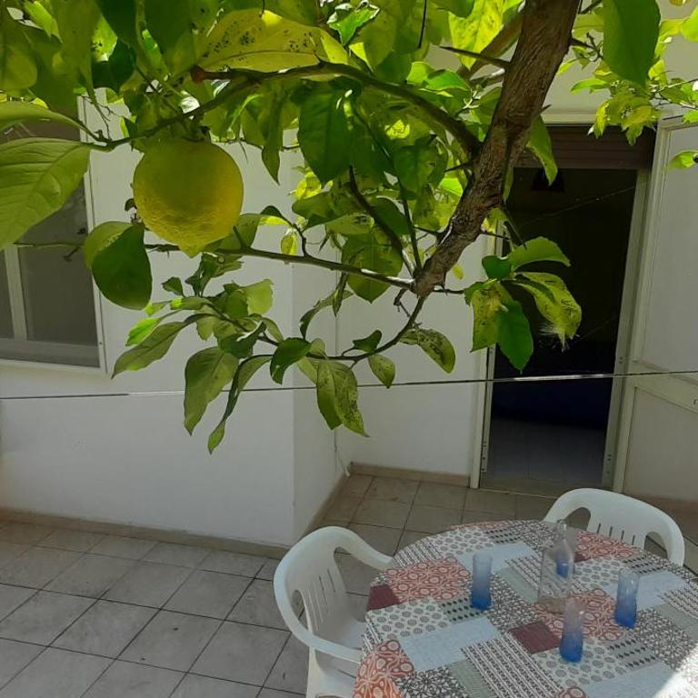Villetta Zagare - Apartment with Garden View - 36