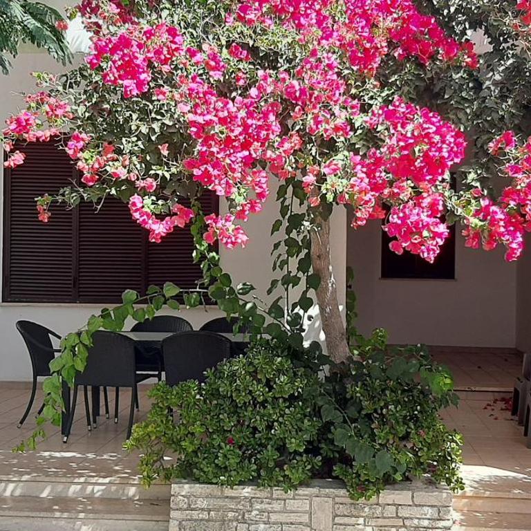 Villetta Zagare - Apartment with Garden View - 2