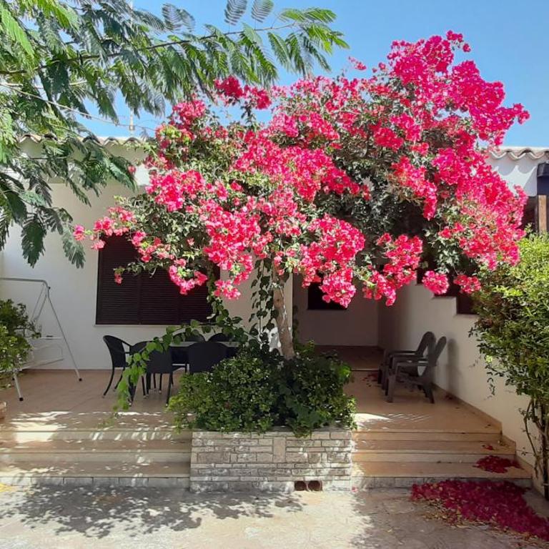 Villetta Zagare - Apartment with Garden View - 8