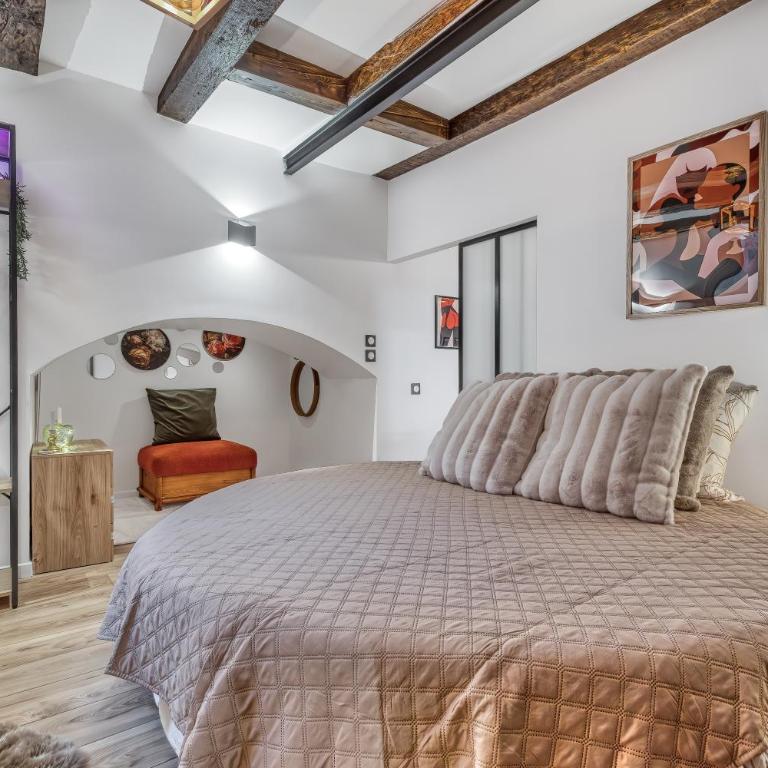 Secret room jacuzzi vieille ville Annecy - Appartement 1 Chambre - 6
