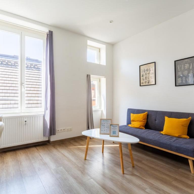 Thiergarten - Charmant T2 à proximité de la gare - Apartamento de 1 dormitorio - 7