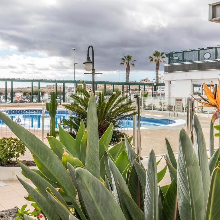 Charming El Médano Breeze Escape & Terrace - Apartamento de 1 dormitorio - 43