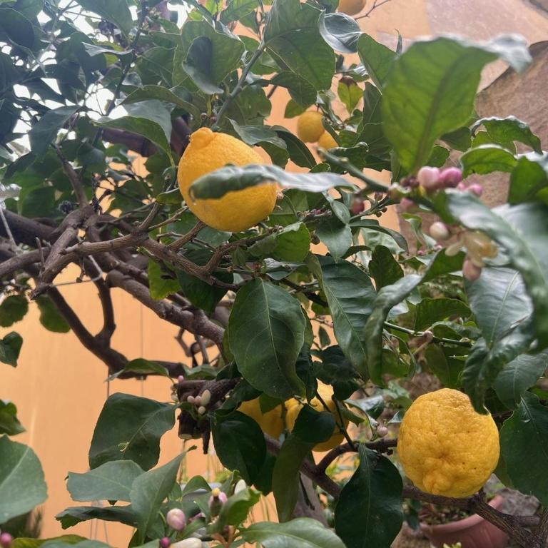 Appartamento vicino al mare - Appartamento - 1