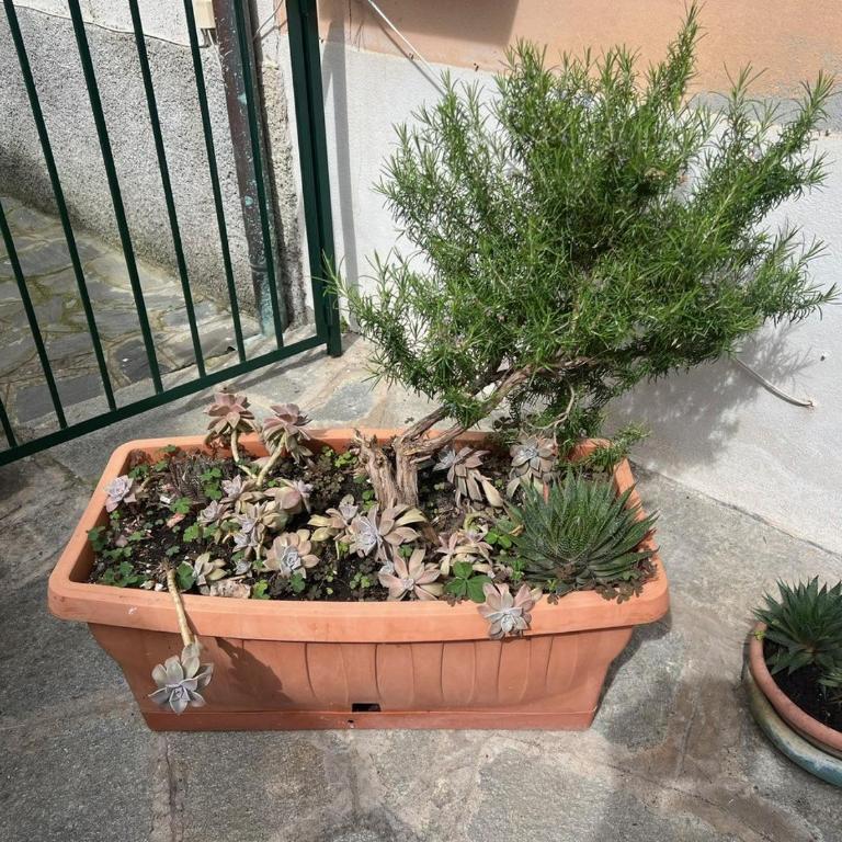 Appartamento vicino al mare - Appartamento - 26