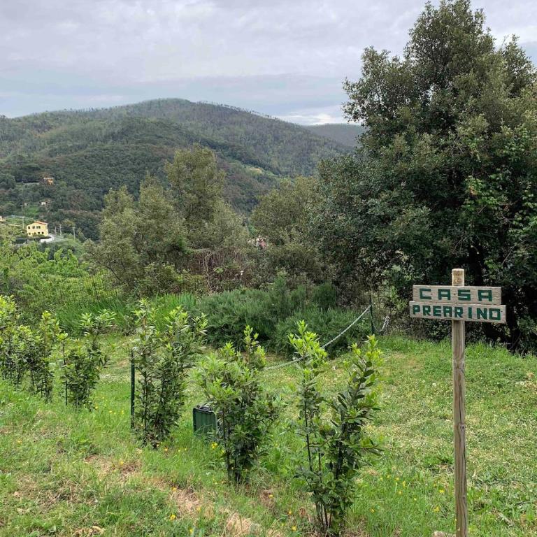 Quiet and Cozy home with Wi-Fi CASA PREARINO - Apartamento de 1 dormitorio - 4