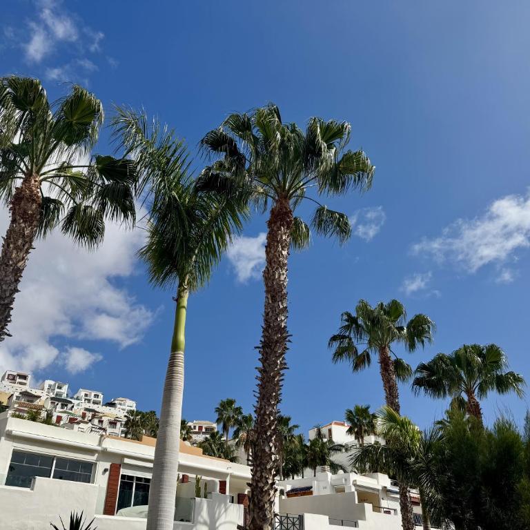 Panoramic Paradise Tenerife Ocean View & Comfort - Apartamento de 1 dormitorio con vistas al mar - 9