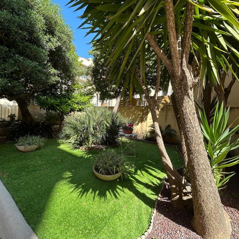 Studio 50m de la mer - Appartement 1 Chambre - 6