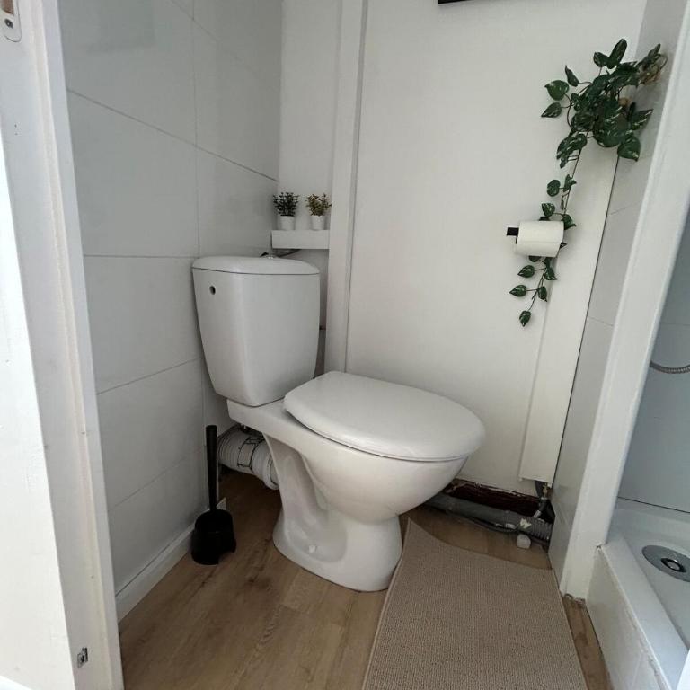 Studio 50m de la mer - Appartement 1 Chambre - 31