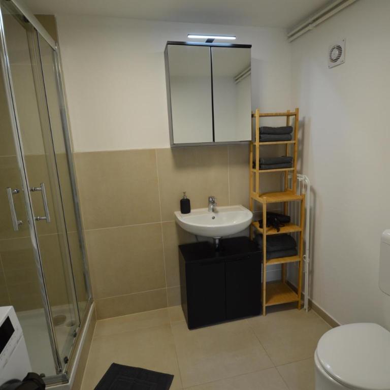 CityVibes Graz 4 & 14 - Apartamento Estudio - 20