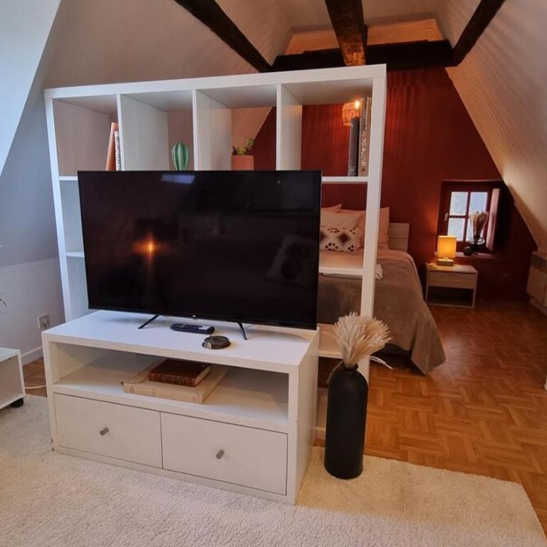 cosy studio apartment in centre - Appartement 1 Chambre - 12