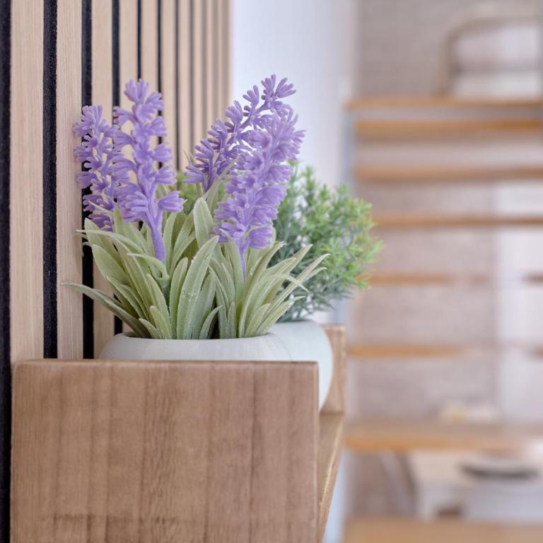 Romantic Suite Roig Arena N10 Virkin Suites - One-Bedroom Apartment - 56