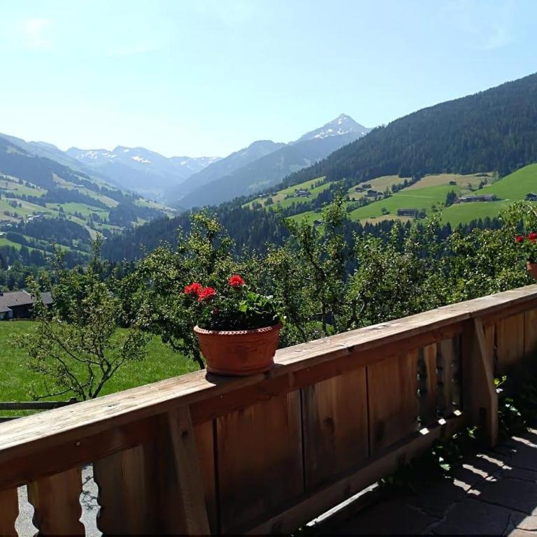 Außermoos-Zuhaus - Ferienhaus mit Bad - 53