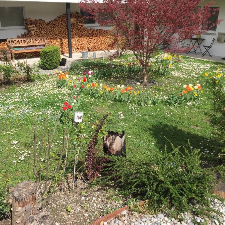 Innsbruck Apartment Nigler - Appartamento Monolocale im Garten - 11