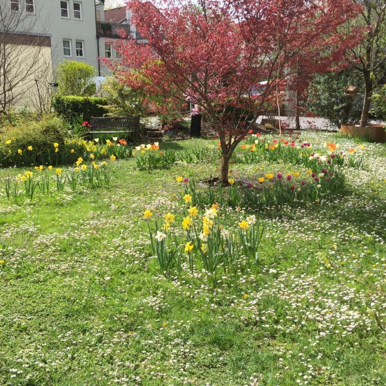 Innsbruck Apartment Nigler - Appartamento Monolocale im Garten - 12