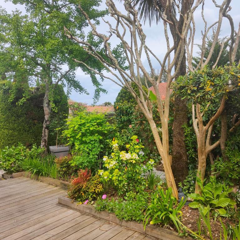 La Mandragore - Chambre Double - Vue sur Jardin - 4