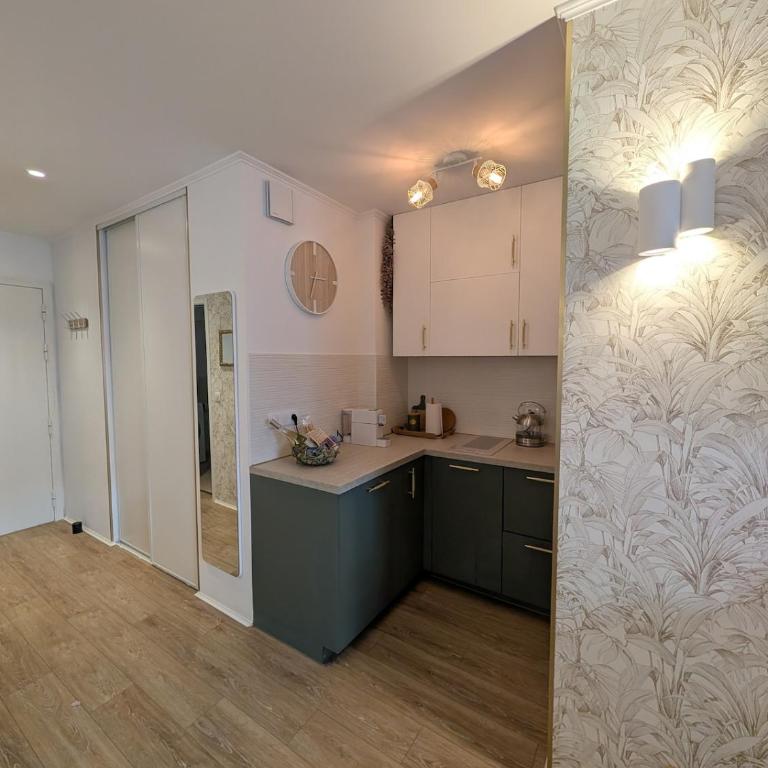 Luxury studio next to beaches and old town Antibes - Apartment mit 1 Schlafzimmer - 13