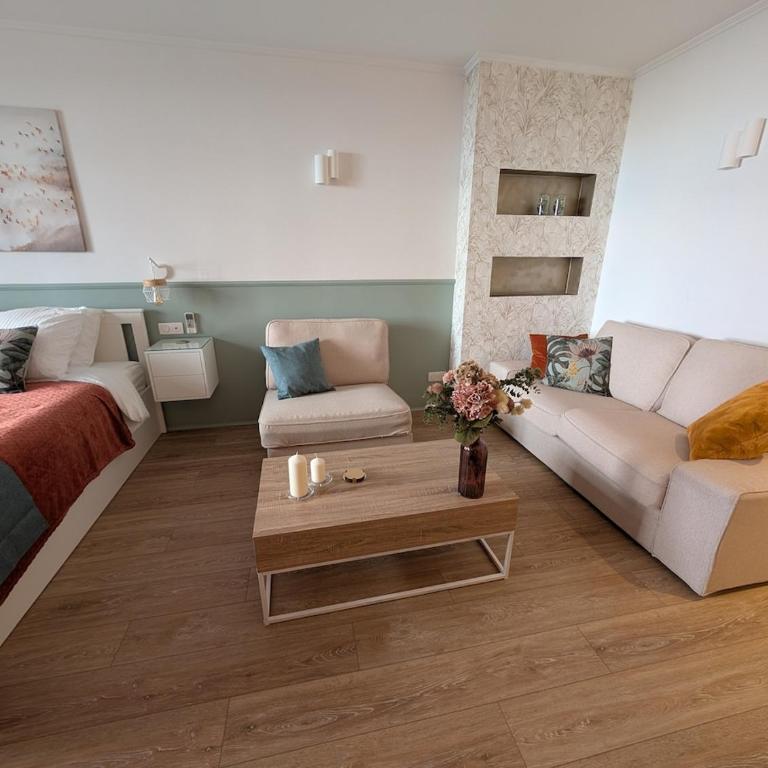 Luxury studio next to beaches and old town Antibes - Apartment mit 1 Schlafzimmer - 30