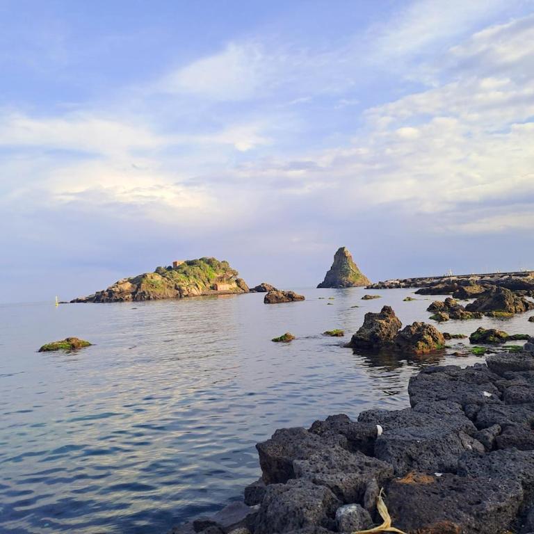 Aci Trezza suite fronte mare - Appartamento con 1 Camera da Letto - 56