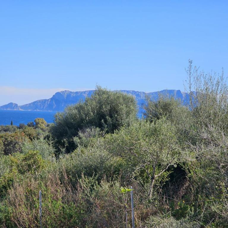Splendida Villa Vista Mare Spiaggia privata - Villa Fronte Spiaggia - 3