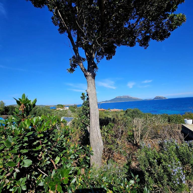 Splendida Villa Vista Mare Spiaggia privata - Villa Fronte Spiaggia - 6