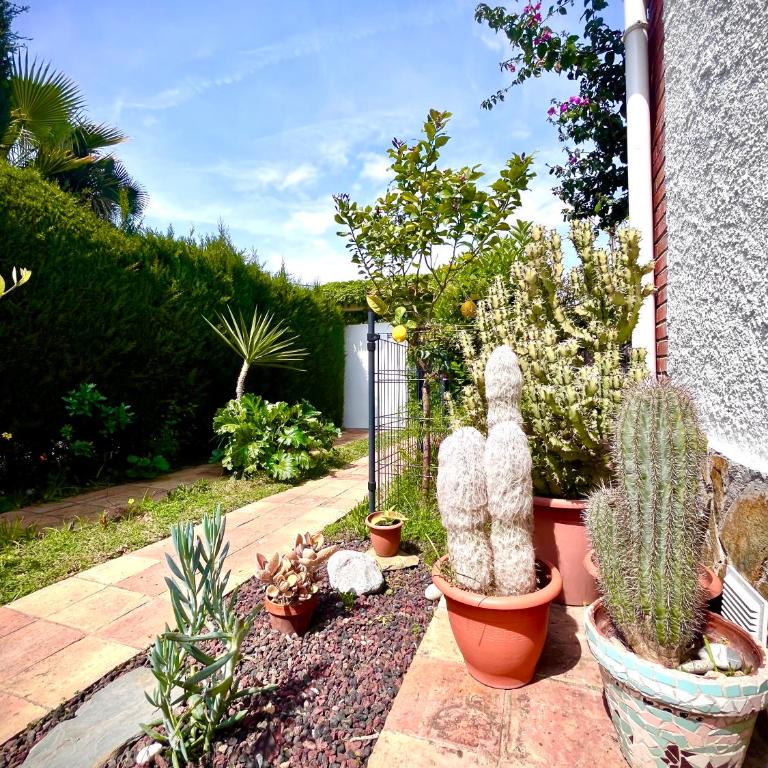 Sitges Garden Suite - Apartamento de 1 dormitorio - 22