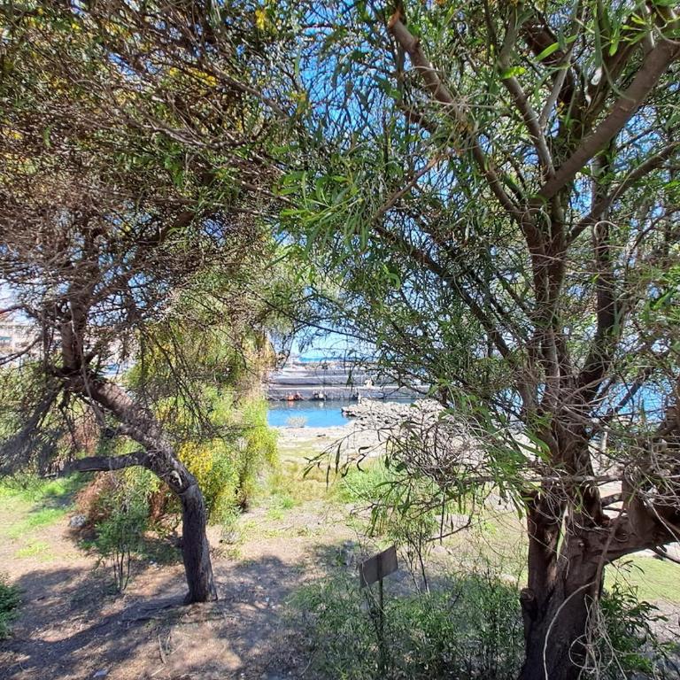 Aci Trezza suite fronte mare - Appartamento con 1 Camera da Letto - 23