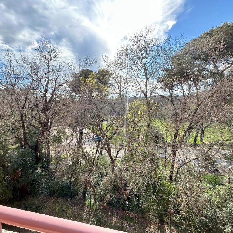 Étoile de la Baie des Anges - Appartement 1 Chambre - 6