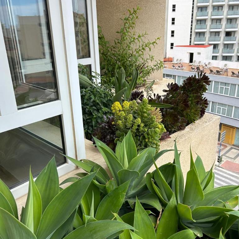 Oasis with terrace and sea views with rooftop pool - Apartamento de 2 dormitorios - 31