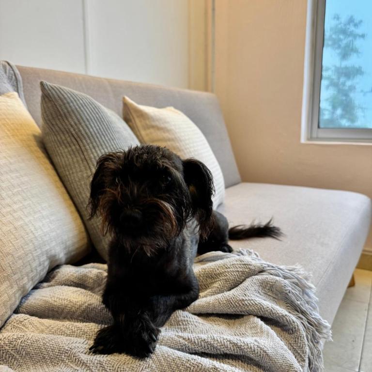 Apartamento en Manizales - Chipre - Apartamento de 1 dormitorio - 9