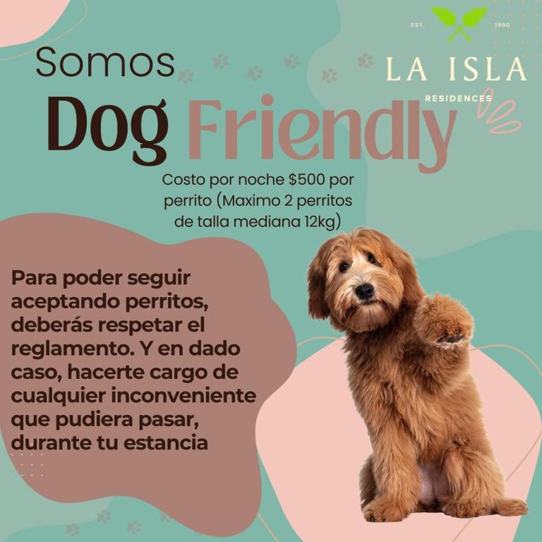 LA ISLA RESIDENCES/HERMOSO DEPA - Apartamento de 2 dormitorios - 53