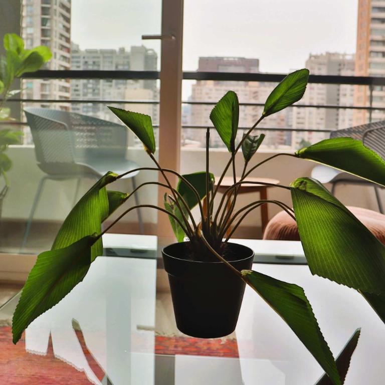 HOM I Dpto 1D1B Santiago Centro Calle Serrano - Apartamento - 64