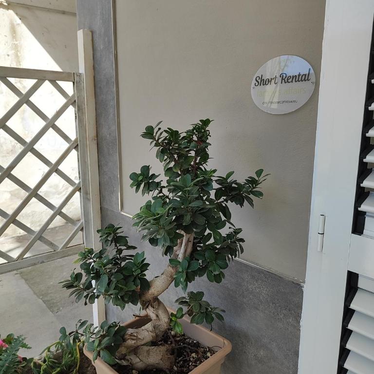 Family's Affairs - Apartment - Ground Floor - 8