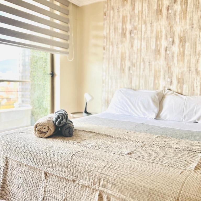Metro Manuel Montt - Conectividad - Apartamento de 1 dormitorio - 14
