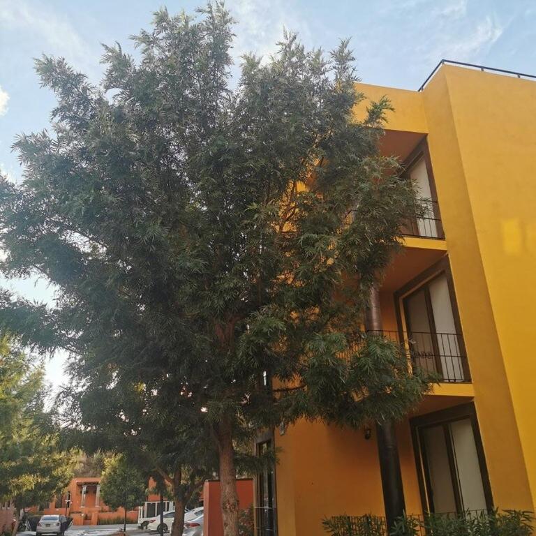 Relax in San Miguel New apartment with pool - Two-Bedroom Apartment with Balcony and Terrace - 19
