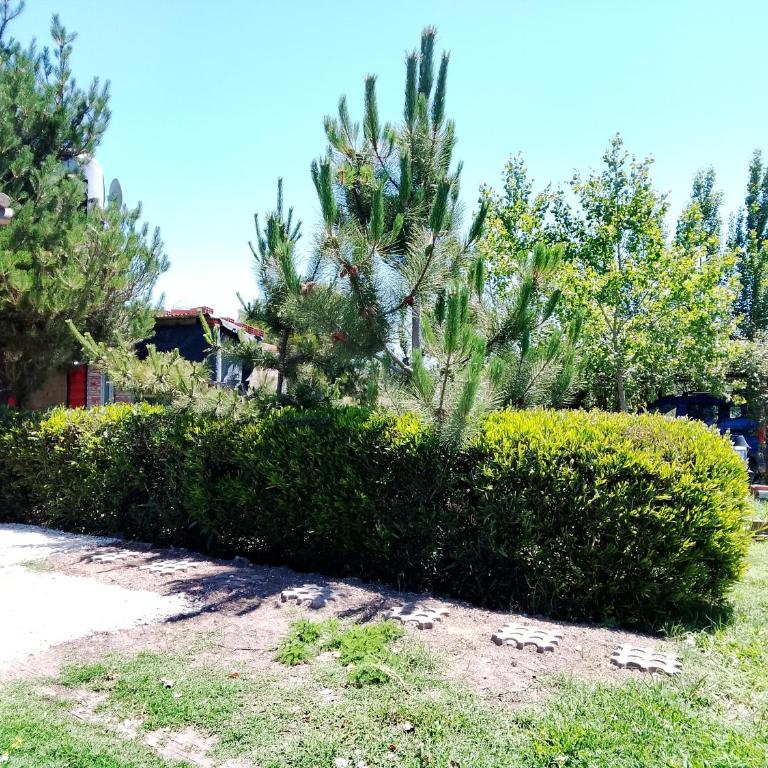 Tiny House con parrilla y jardín cerca del mar - Casa con 1 dormitorio - 31