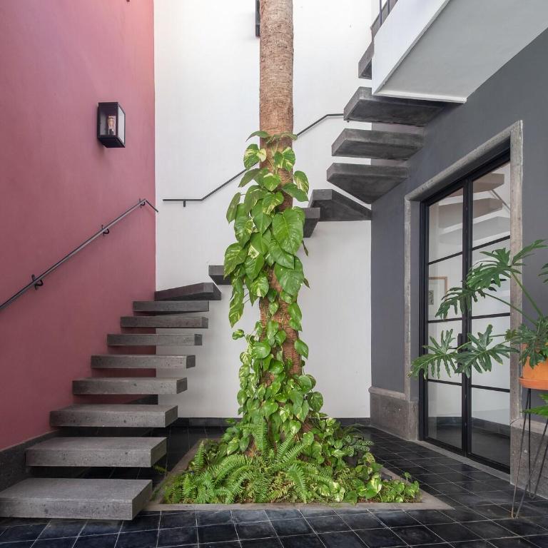 Casa Venus - Three-Bedroom House - 7