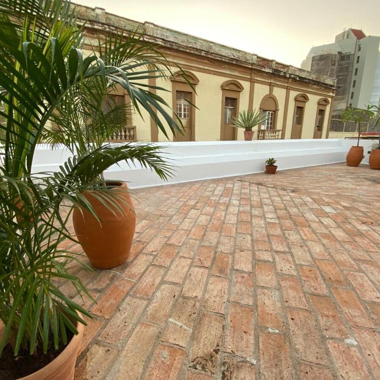 Casa Venus - Three-Bedroom House - 22